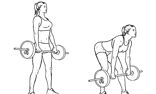 personal training body engineers fitness damanra perdana