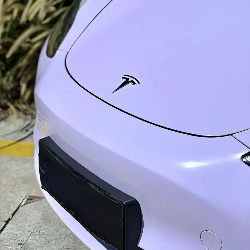 Miniature : Lavender Mist Color PPF