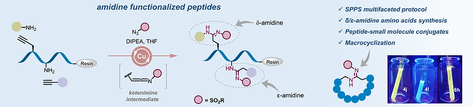 toc-pepket-rev.tif