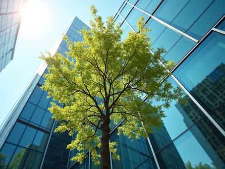 Creating Stunning Urban Nature Photography Techniques