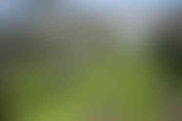 Wooden structures on green grass, drying racks, blue sky in background. Jeff Bana Photography