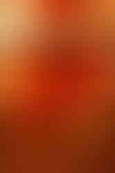 Red doors and window in aged building facade, text not visible. Jeff Bana Photography