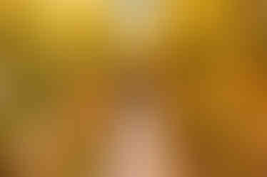 Woman walks through tomato plants, holding a plant. Greenhouse agriculture, healthy food.