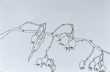 Daily Drawing Feb 28