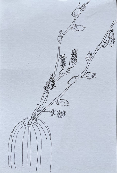 Daily Drawing March 9