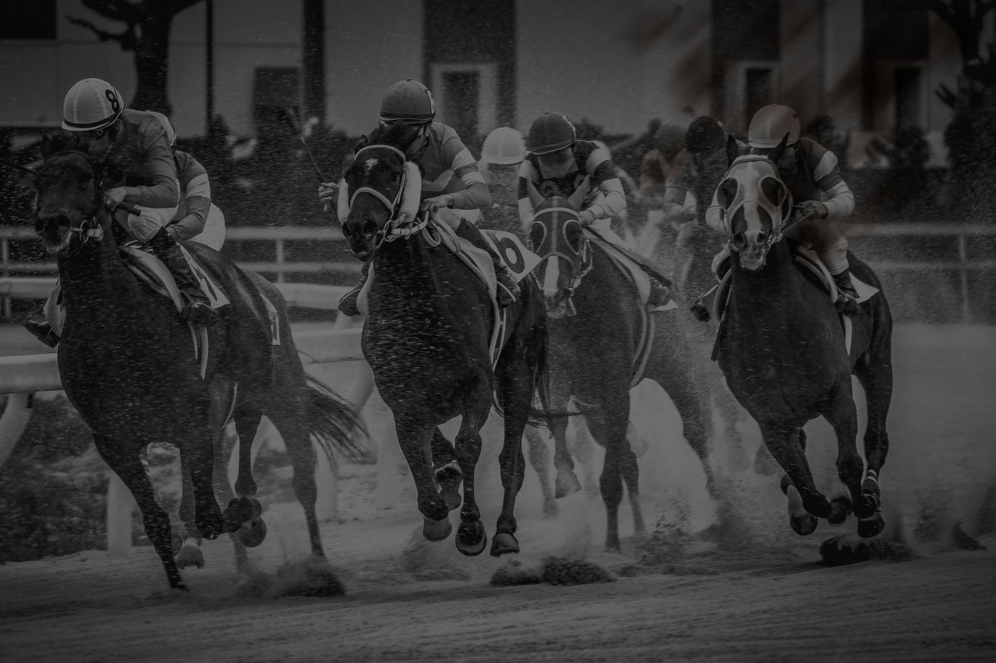 shutterstock_1354230386 (1)_edited.jpg