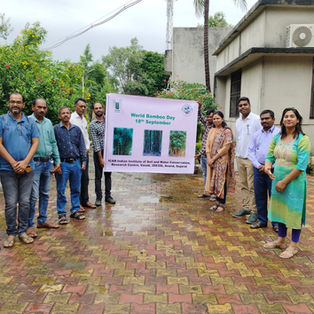 Plantation Work with ICAR