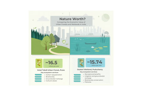 What is Nature Worth? Comparing the Economic Value of Urban Forests and Wetlands in India