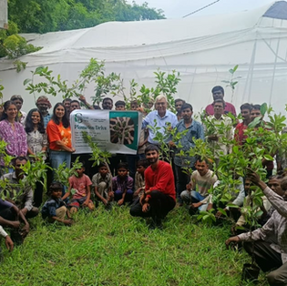 Plantation Work with Shumangalam Foundation