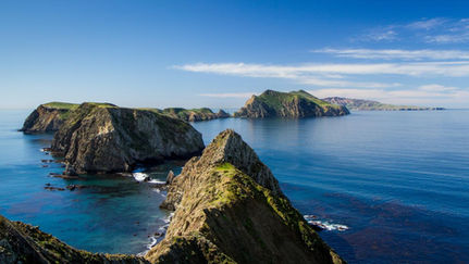 Channel Islands.jpeg