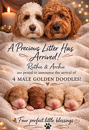 ChatGPT Image Mar 2, 2026, 03_38_33 PM.png