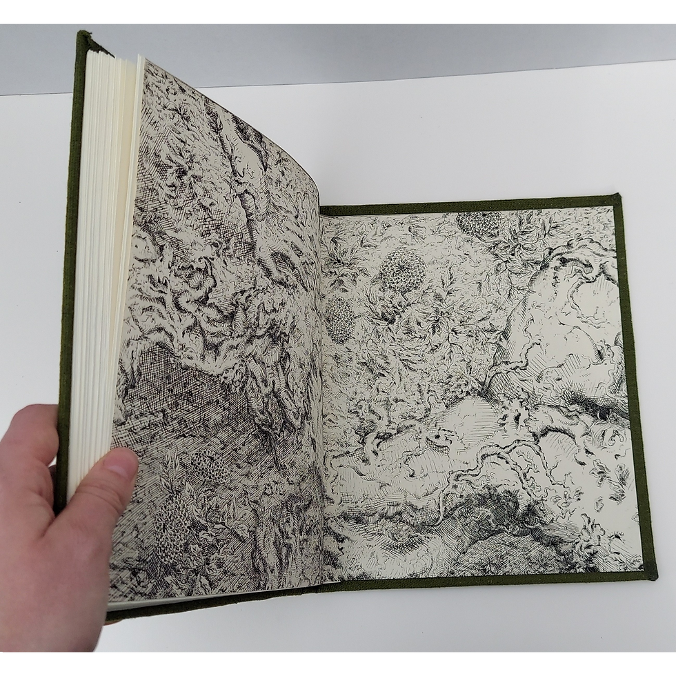 Thumbnail: It Continues by Willow Wells Becerra