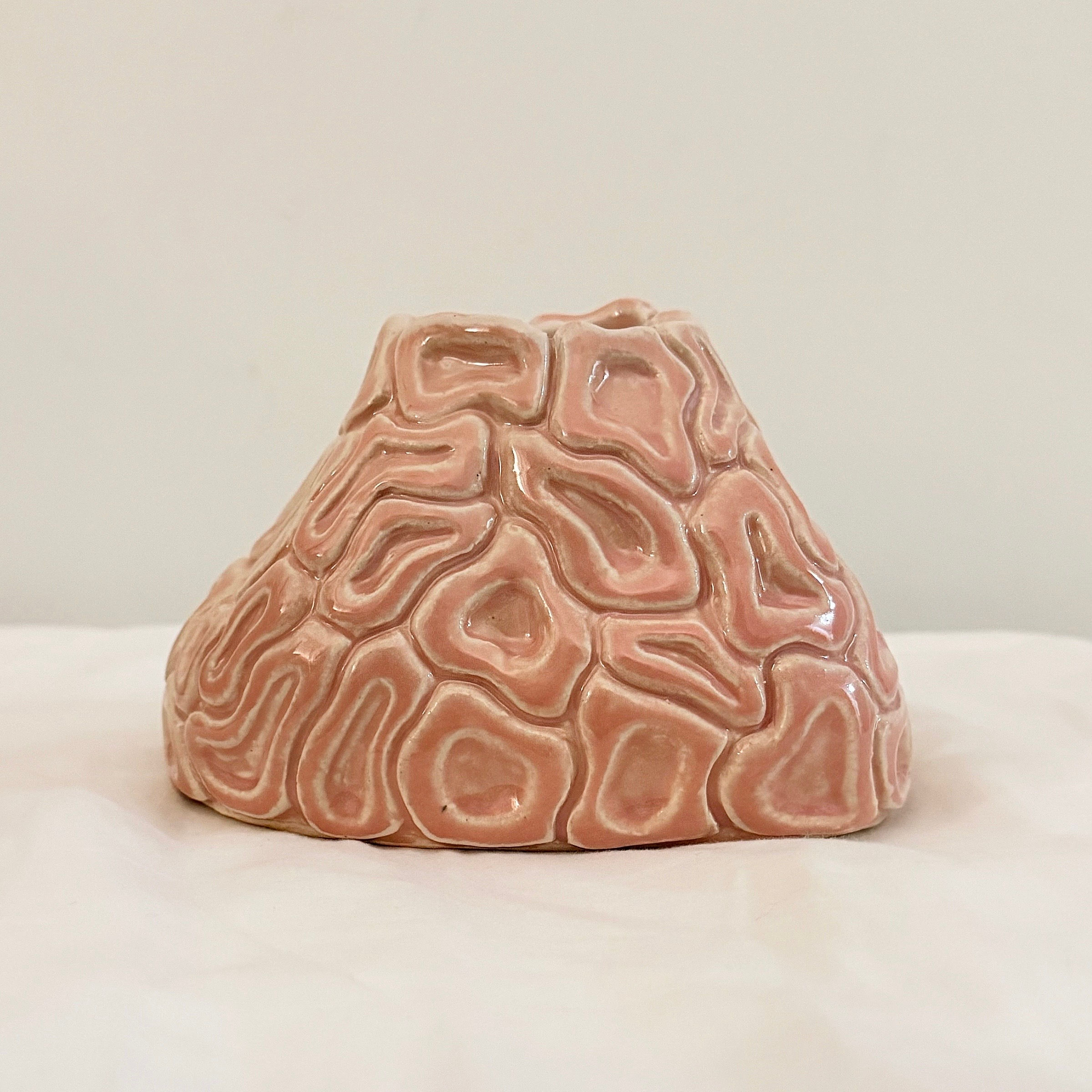 Mini Brain Coral Vase by Ita's Studio
