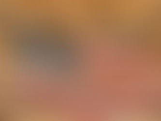 Is America Really A True Democracy?