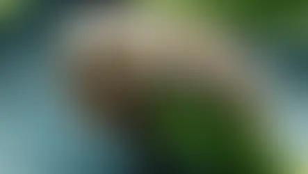 Extremophiles: Life In The Harshest Corners Of Earth