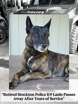 This is an image of Retired K9 Lazlo EOW