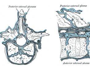 Intra-Abdominal Vascular Compression Syndromes
