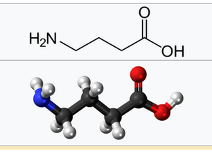 GABA dysfunction in POTS, Long COVID, Fibromyalgia and Long COVID