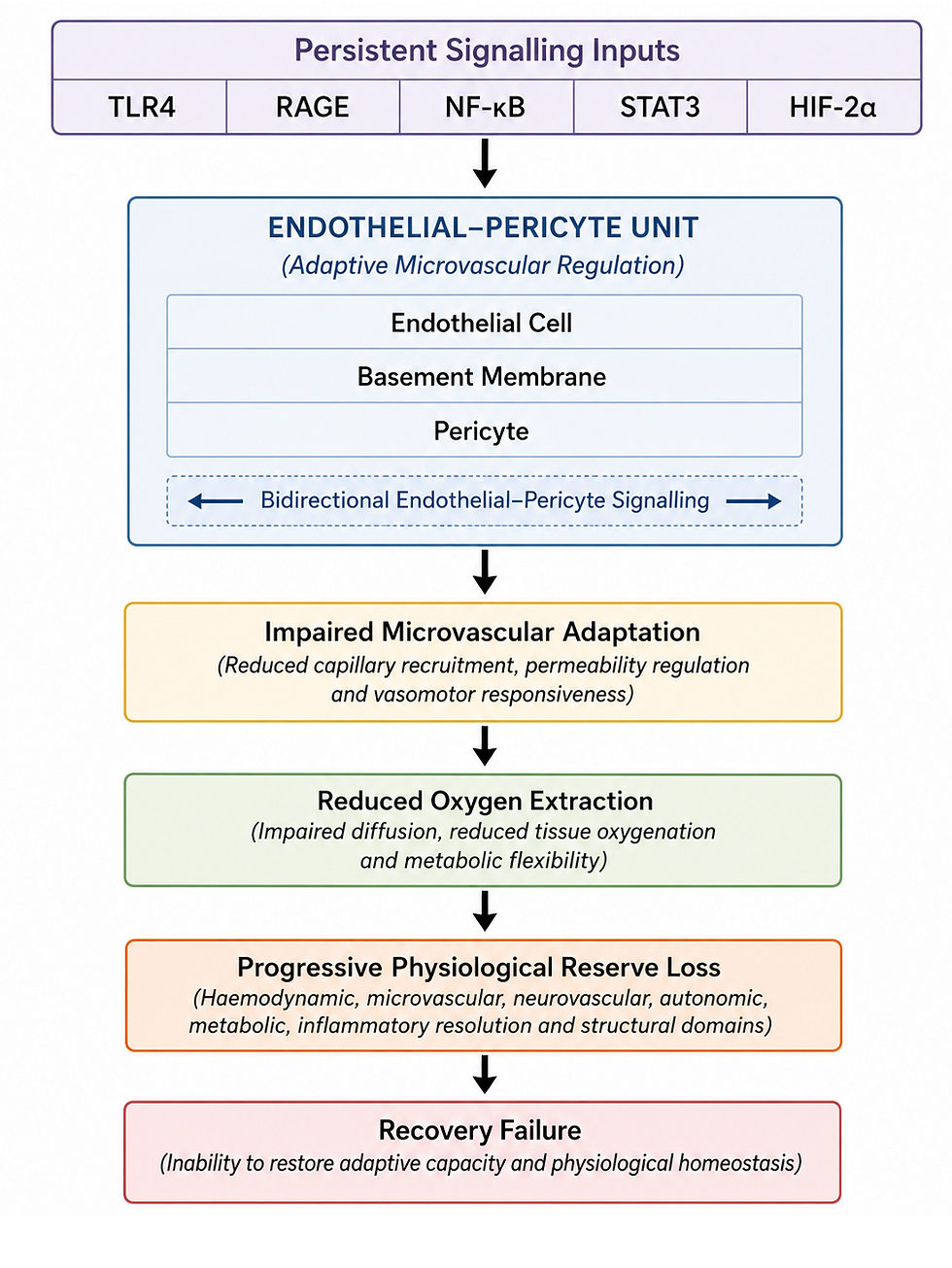 Recovery Failure in POTS, Long COVID, ME/CFS and Related Disorders: A Unified Biological Framework