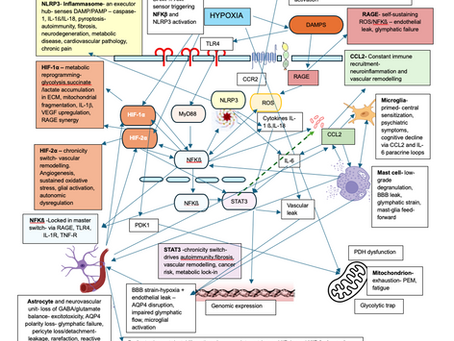 Neuro-Immune–Hydraulic Integrative Phenotype Axis (NIHPA): The Conceptual Framework where One Core Engine drives Multiple Phenotypic Variants 