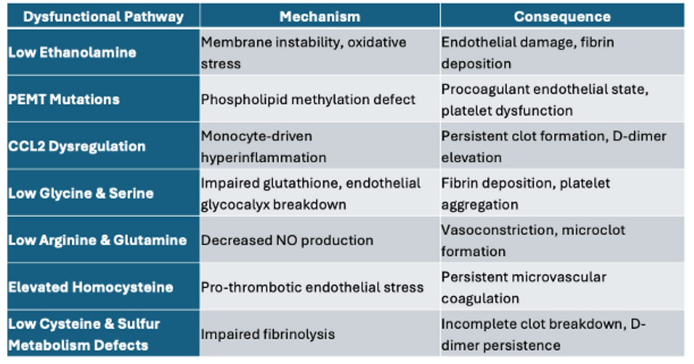Overactive Rage System Hypoxia-Driven RAGE Activation: A Core Pathophysiology