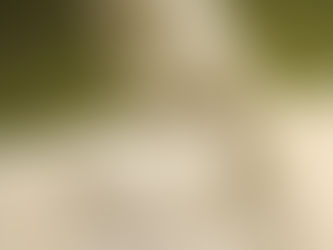 il ritratto immaginario