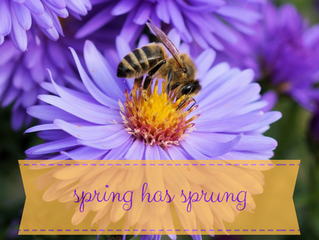 Spring has Sprung! Where's my Epipen?!