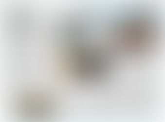 In de Pers: Ons project prominent in Stan Huygens Journaal