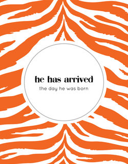 Animal Print Tiger Baby Book 6