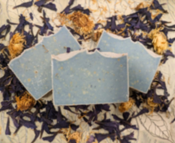 Indigo Hyssop