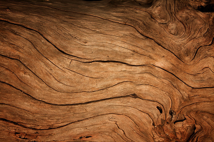 Old wood background.jpg