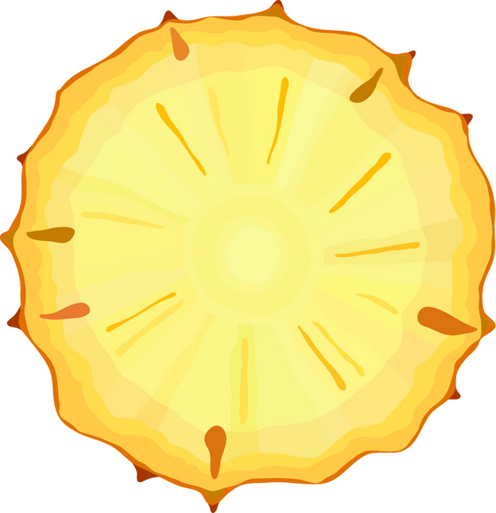Ativo 1@33.33x.png
