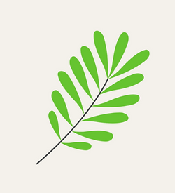 Untitled design (12).png