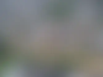 Alerta de temporal em Joinville