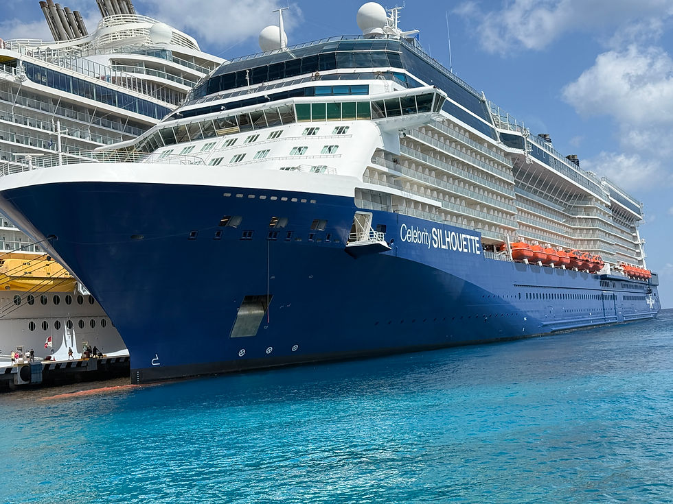 Huge blue-and-white Celebrity Silhouette cruise ship docked at sea, with orange lifeboats and a bright sky above.