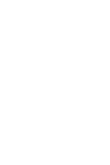 Asset 2.png