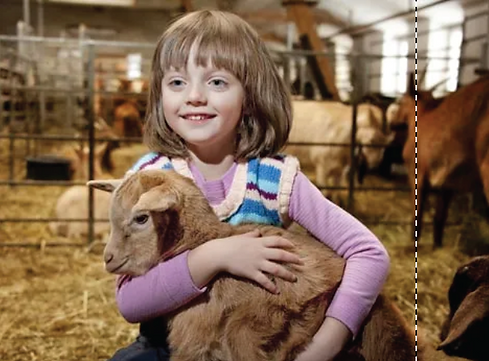petting zoo-01.png