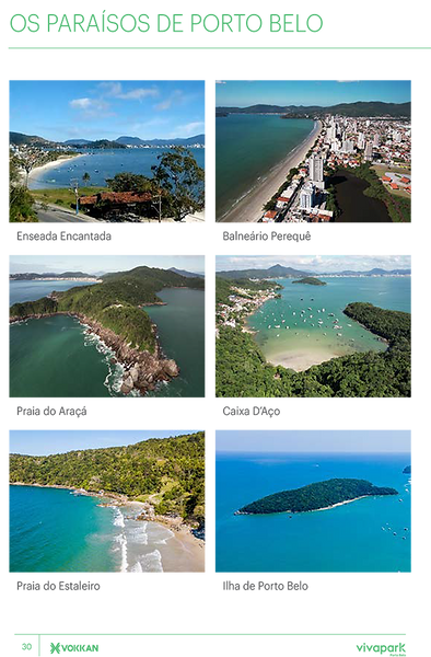 Guia do Investidor digital-30.png