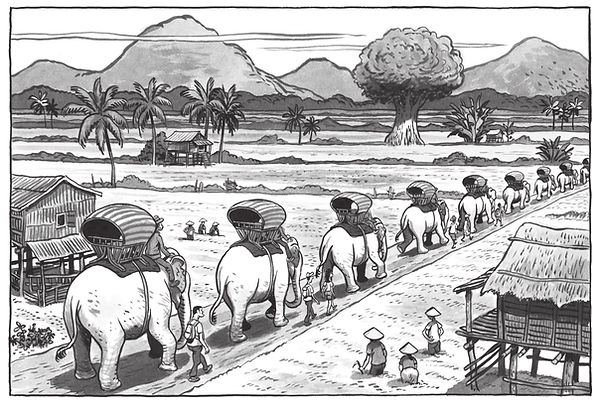 LA LONGUE MARCHE DES ELEPHANTS_image 1.