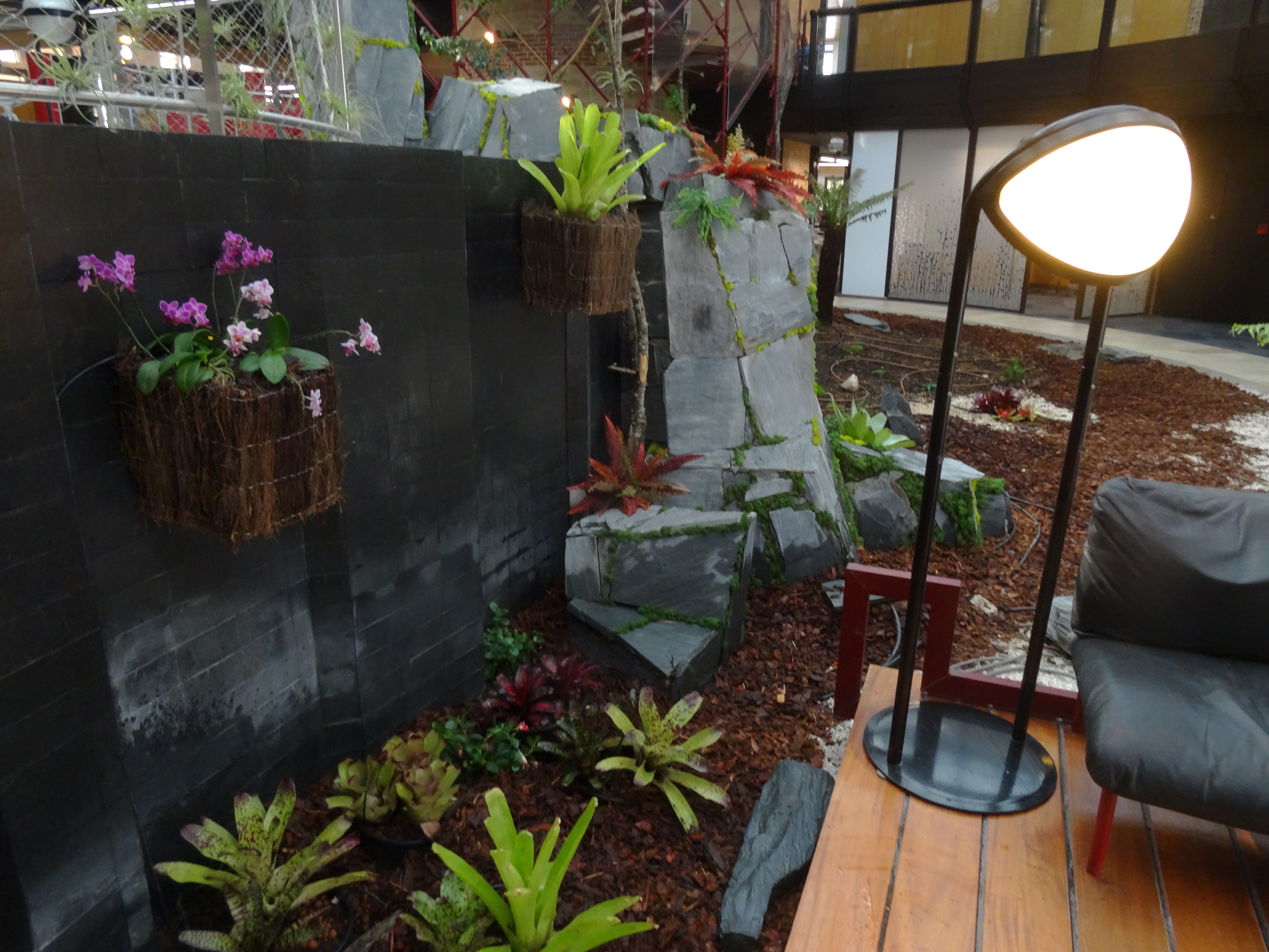 Orchidées et broméliacées