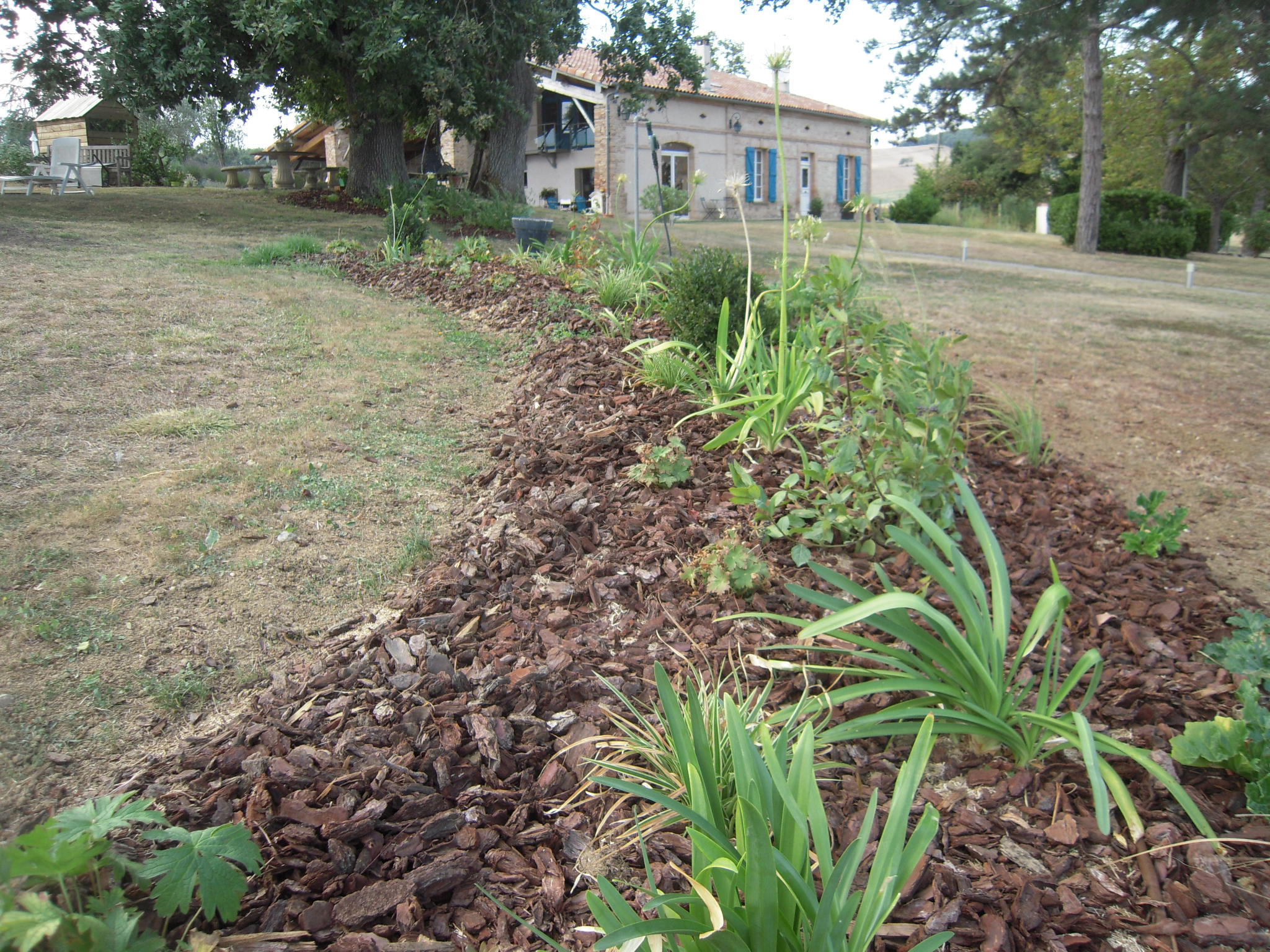 Bas du jardin