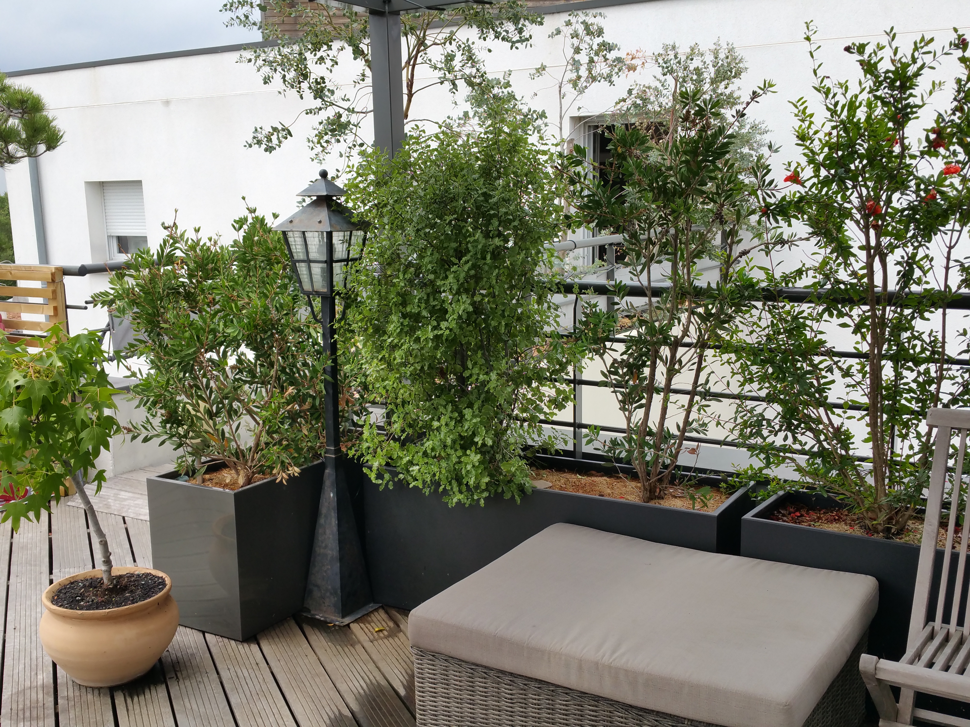 Pergola