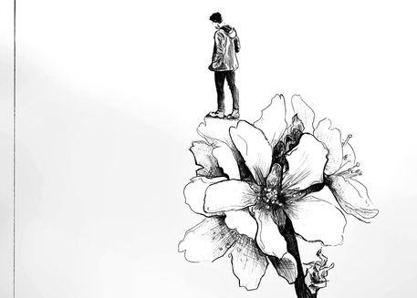 A4_flor almendro_21x30.png