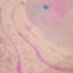 Thumbnail: Red Jasper Crystal Bath Bomb