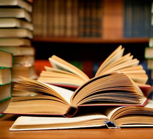 raices del barro.png