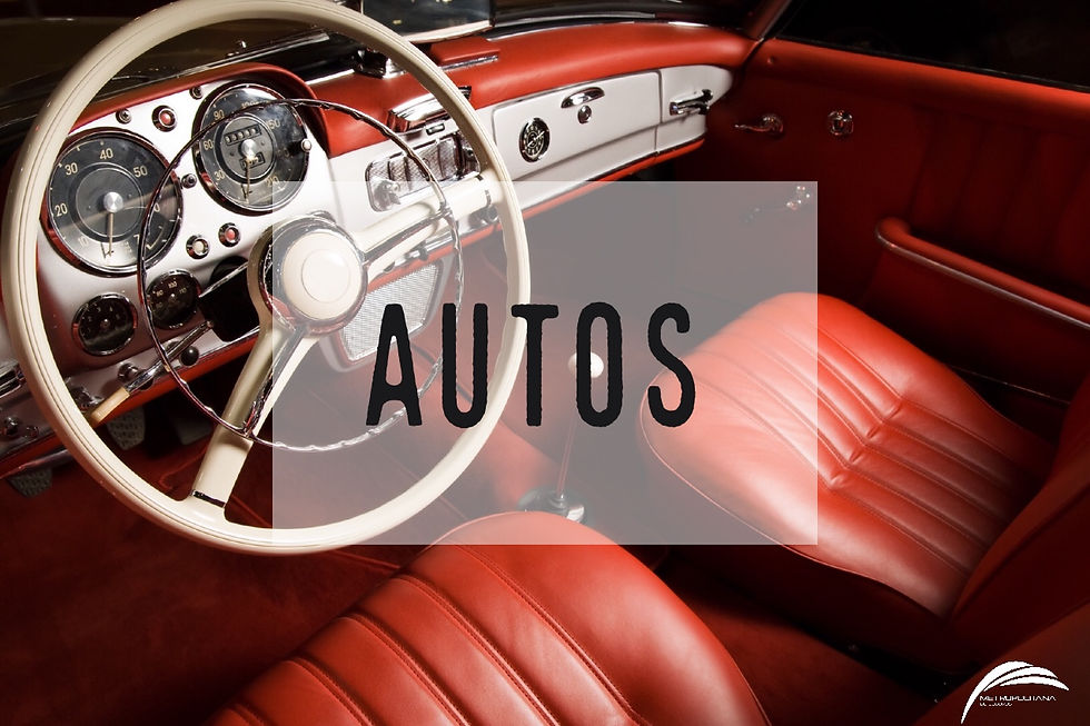 metropolitana de seguros