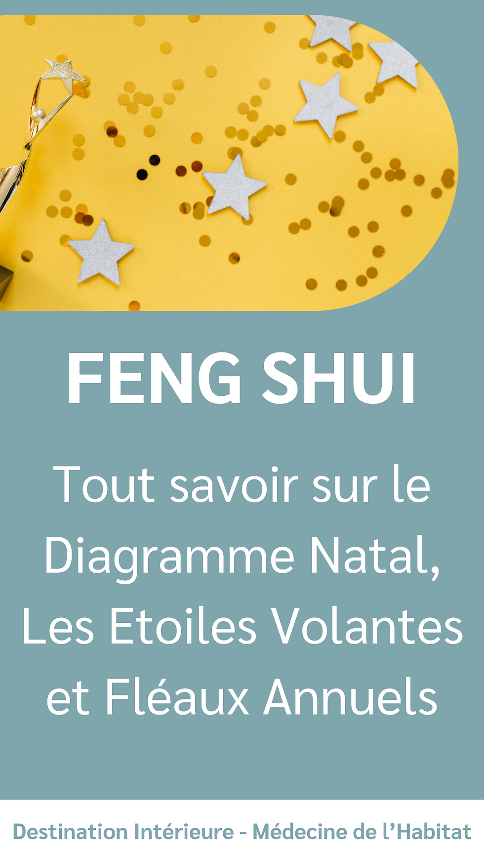 Diagramme Natal, Etoiles Volantes et Fléaux Annuels Feng Shui