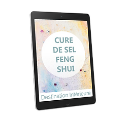 Cure de sel feng shui pin png.png