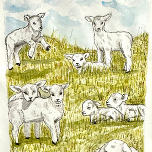 Sheep in search of pastor watercolor