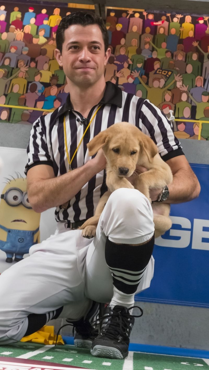 bribiba irish wolfhounds